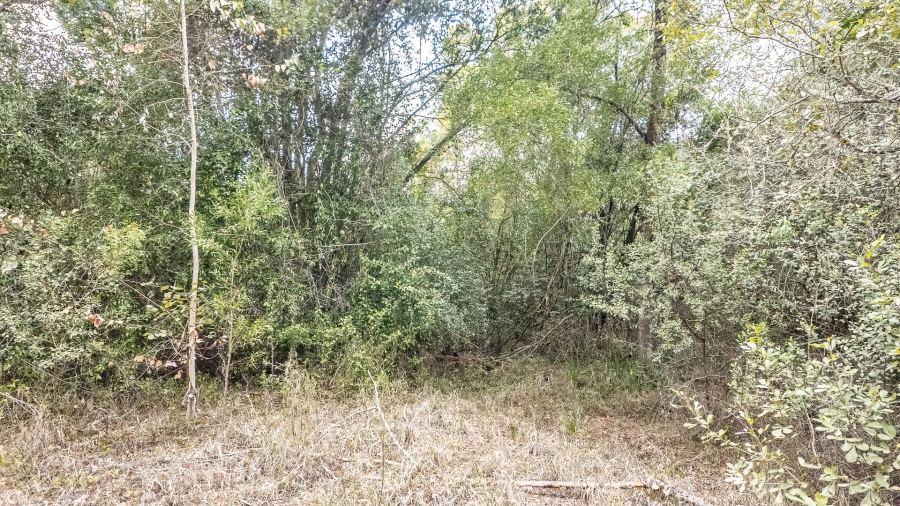 Commercial Property for Sale in Sedgefield Rural Western Cape